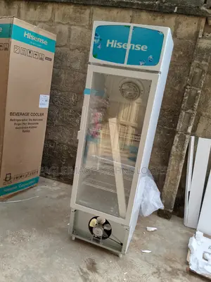 Store-Friendly Hisense Fl 30-Fc Refrigerator- Upright Design