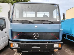 Mini Truck