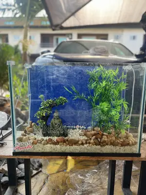 2ft by 20 Inch Aquarium