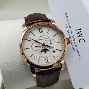 Men's Iwc Style Automatic Leather Watch
