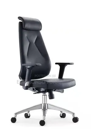 Executive Ergonomic Ceo Chair