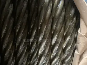 22mm 6*19core Black Steel Wire