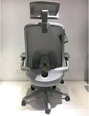 Comfort Office Seat Ergonomic Study Chair Backrest