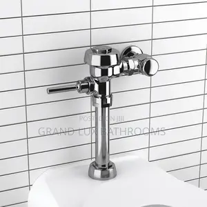 Sloan Valve Flushometer