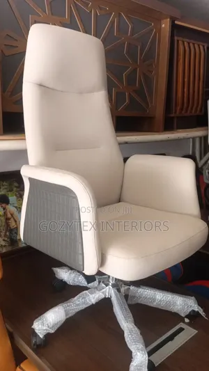 Executive Office Chair Ergonomic