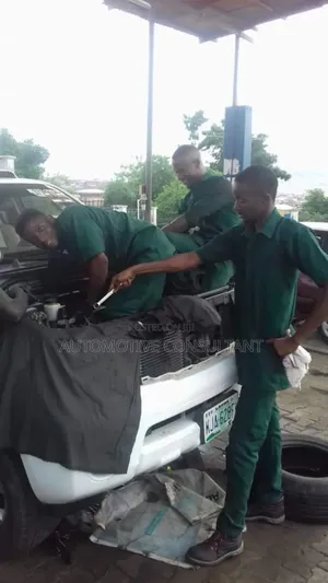 Don't Buy That Car Yet. Let Me Inspect It for You-for Cheap
