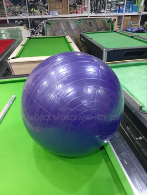 Exercise Gym Ball