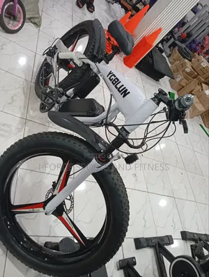 Electric Bike