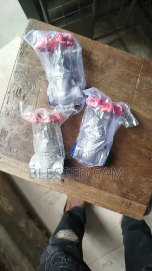 Stainless Steel Threaded Gate Valve