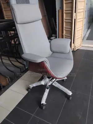 Classic And Unique Executive Office Reclining Chair