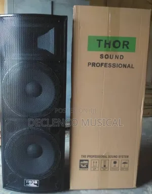 Thor Sound Full Range Professional Speaker