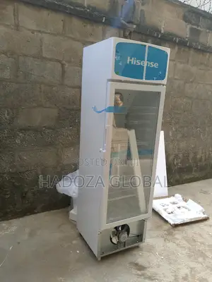 For Home & Retail Use - Hisense Chiller - 222 L - Fl-30fc