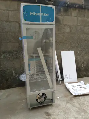 Large Capacity Chiller 222 L - Hisense Fridge - Fl30fc