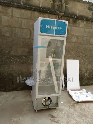 Fl-30fc Chiller By Hisense - Commercial & Home Use