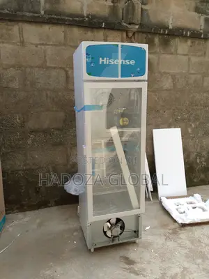 222 Litres Refrigerator Unit - Hisense Chiller - Fl-30fc