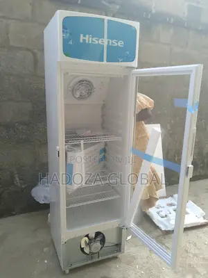 Elegant Finish Retail Chiller - Hisense - 222 L - Fl-30fc