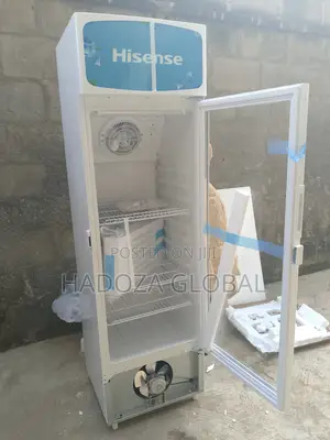 Top Choice For Beveragr Display - Hisense Chiller - Fl-30fc
