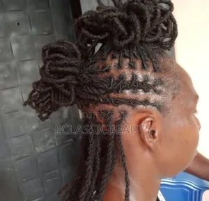 Professional Loctician