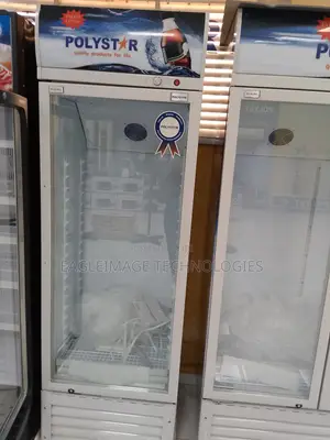 Low-Noise Polystar Pv-Sc495l Refrigerator-Quiet Operation