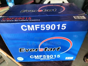 Everstart Cmf59015 Sealed 90ah Mf Battery, Made in Korea.