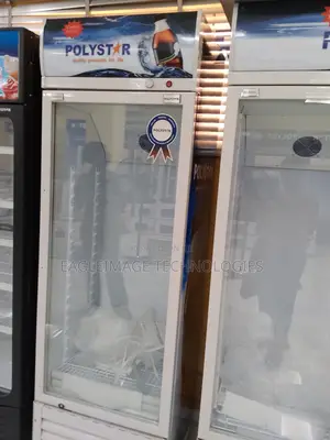 Hygienic Polystar Pv-Sc495l Chiller- Clean Interior