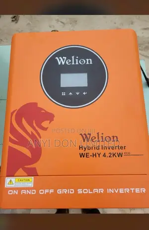 Welion Hybrid Inverter 4.2kva 24v