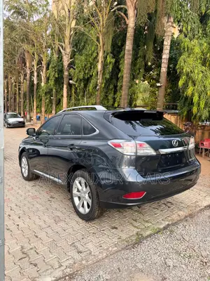 Lexus RX 2012 Gray