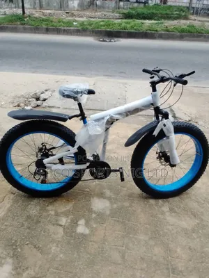 Standard Fat Tyre Bicycle