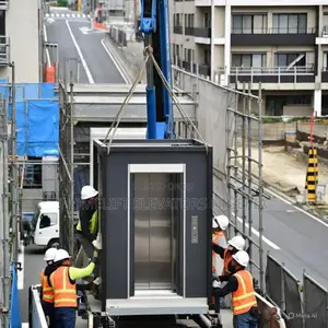 Domestic Home Elevator