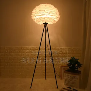 Luxury Feather Floor Lamp