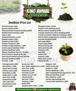 Cash and Food Crops Seedlings