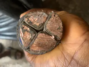 4x300mm None Armored Cable