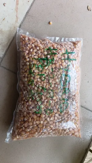 Hybrid Pop Corn Seed_1kg