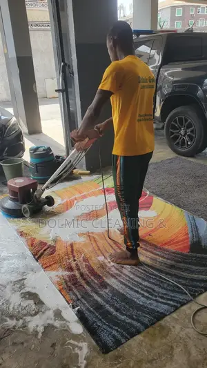 Professional Carpet Rug Cleaners