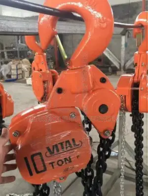 Original 10tons Vital Chain Block