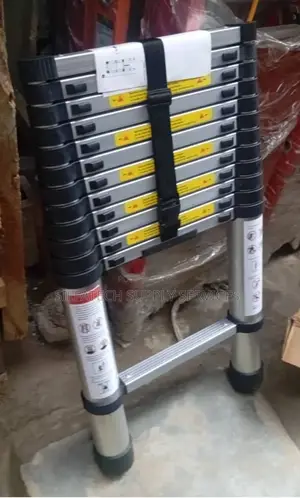 Original Industrial Ladder