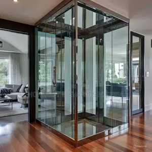 Hydraulic or Traction Elevators (Traditional Style)