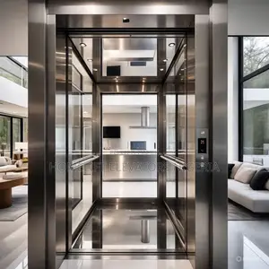 Homelift Passenger Elevator