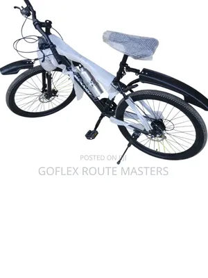 Adult Bicycle Bianqi