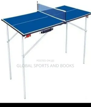 Portable Table Tennis Board