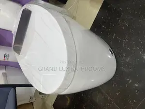 Modern Smart One-Piec Toilet With Automatic Lid Ad Touchless