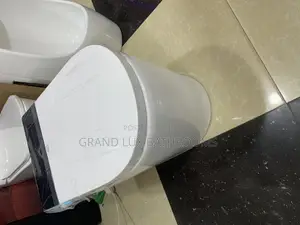 Luxury Smart Toilet Wit Marble-Style Lid and Touchless Flush