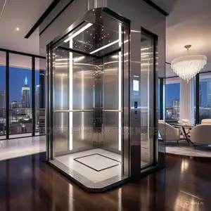 Homelift Accessibility Passenger Elevator