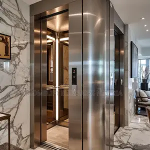 Vuelift Home Lift With Shaft and Light