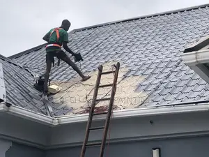 Roof Painting