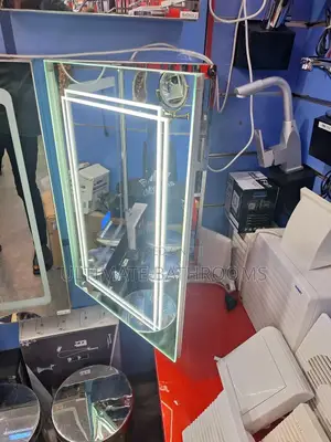 5060 Stainless Steel Cabinet Mirror With Light
