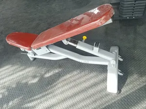 Commercial Gym Bench Press