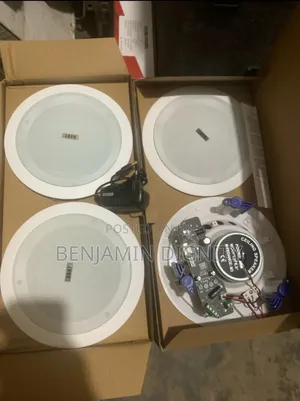Quality Bluetooth Ceiling Mounted Loud Speaker.
