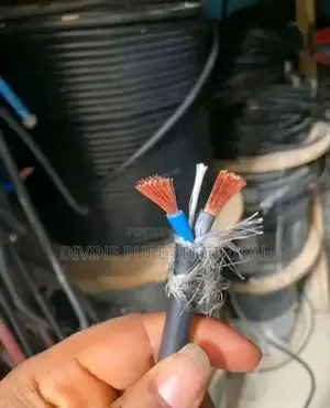 6mm 2core Flexible Wire