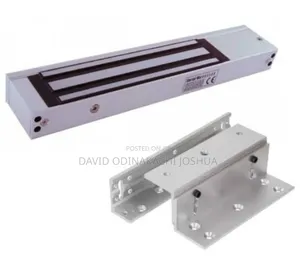Electronic Locks Manufacturing Expert
